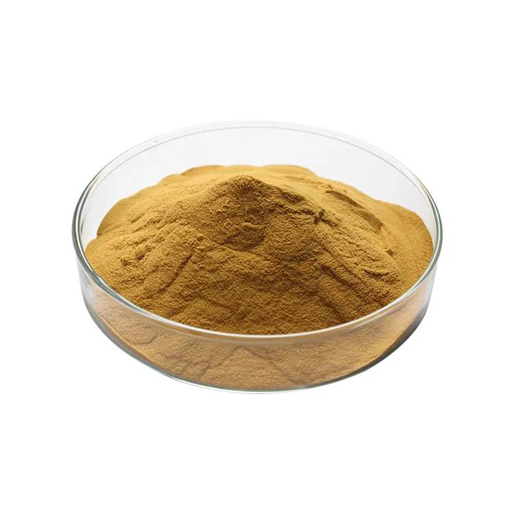 Astragalus Extract Powder Astragaloside  