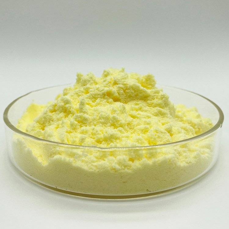 Alpha Lipoic Powder Bulk