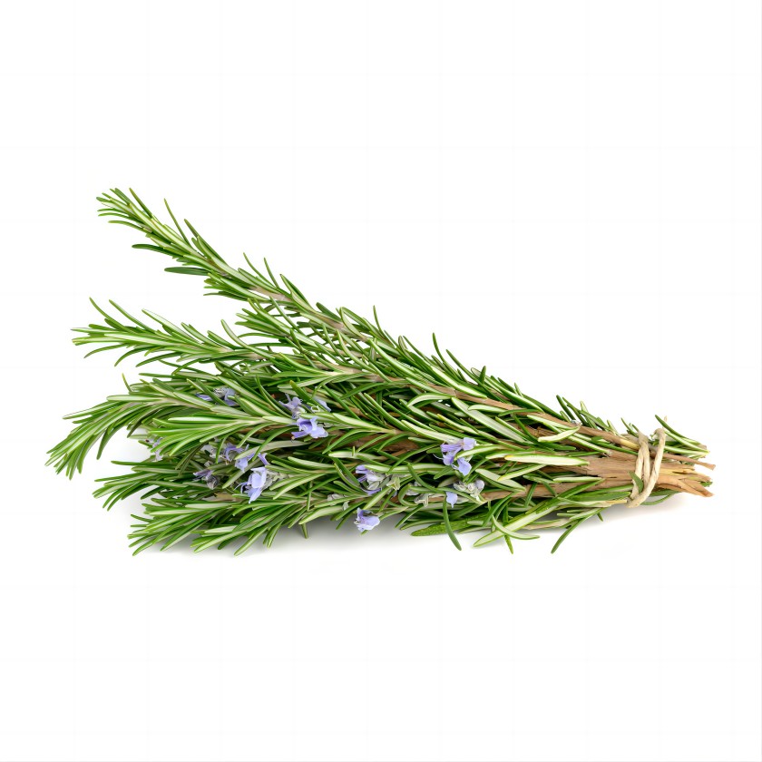 Rosemary