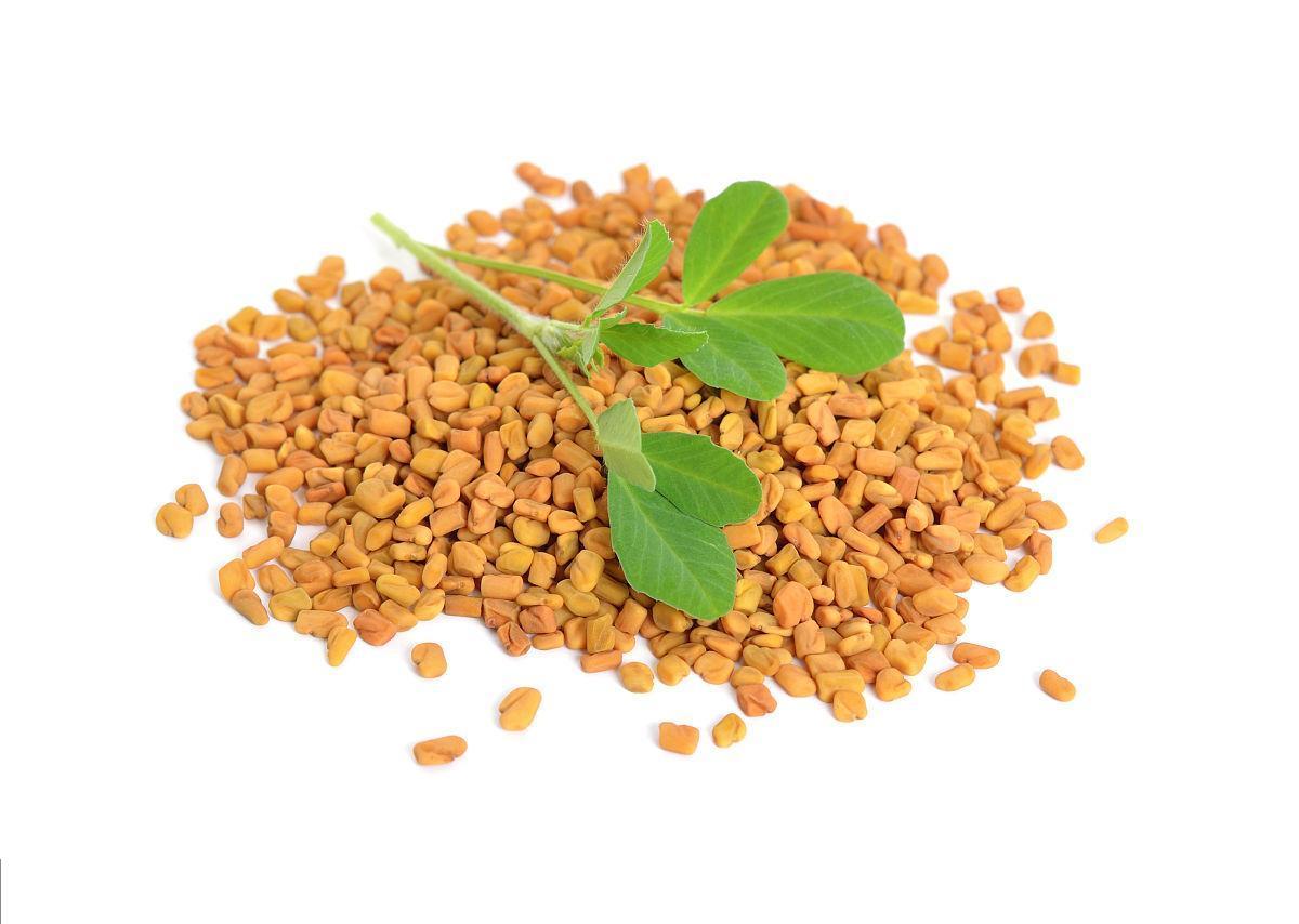 Fenugreek Seed 