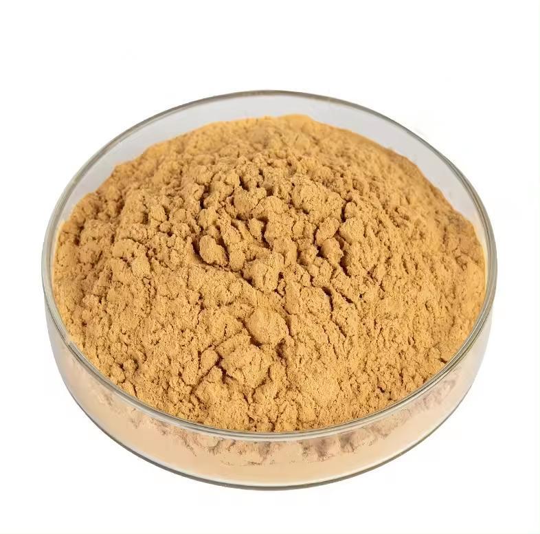 Yucca Extract Powder 