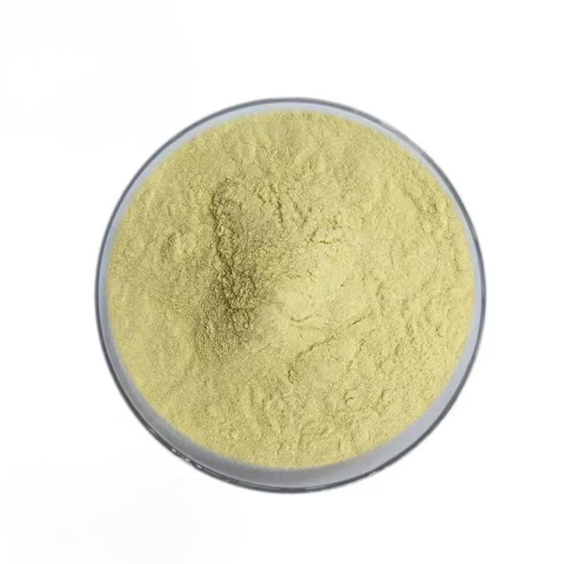 Ginger Extract 5% Gingerol