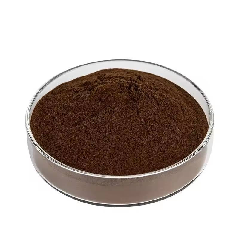 Black Garlic Extract Powder