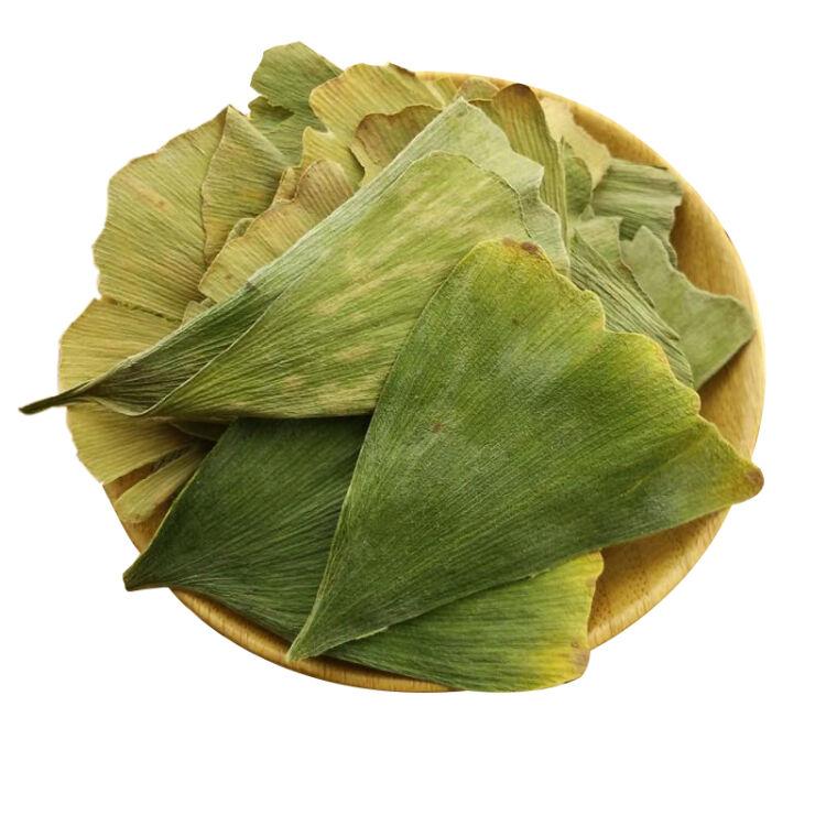  Ginkgo Biloba Leaf