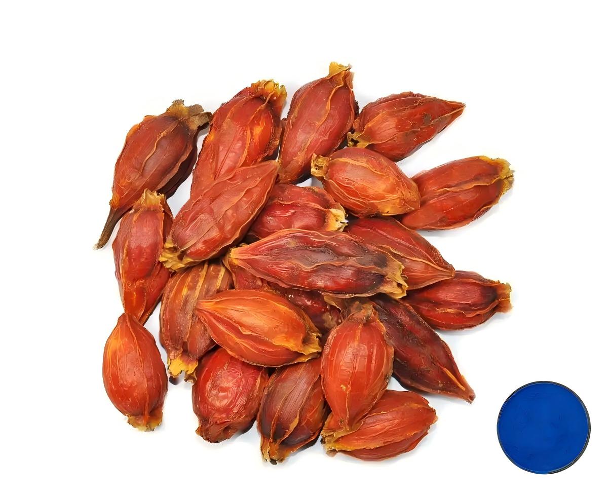 Natural Gardenia Blue Color